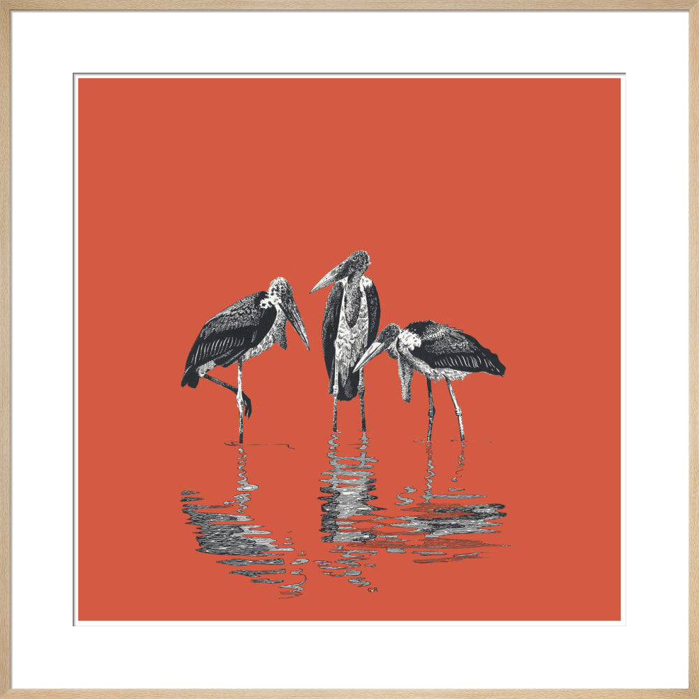 Marabou Storks - art print