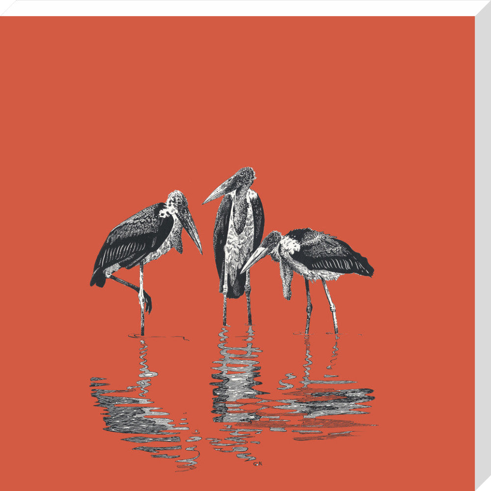 Marabou Storks - art print