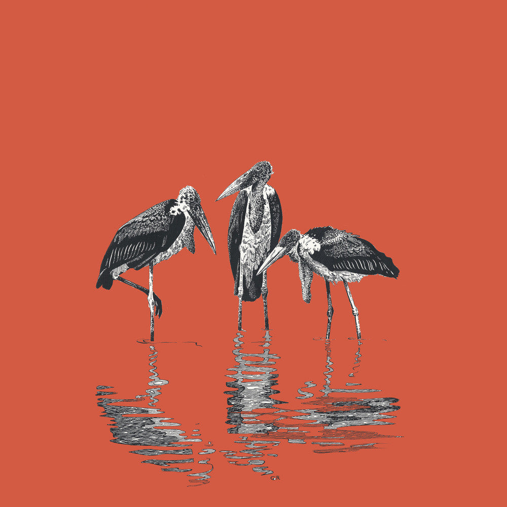 Marabou Storks - art print