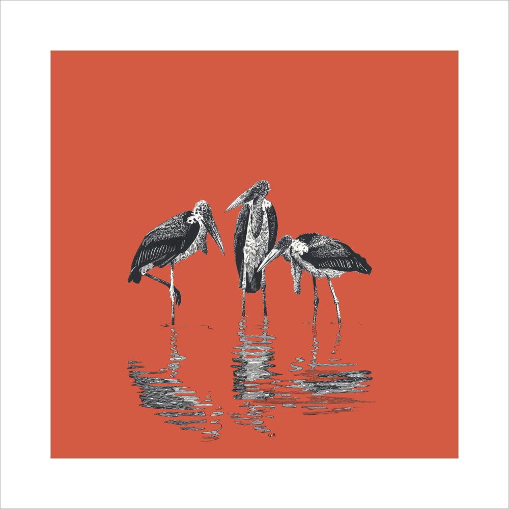 Marabou Storks - art print