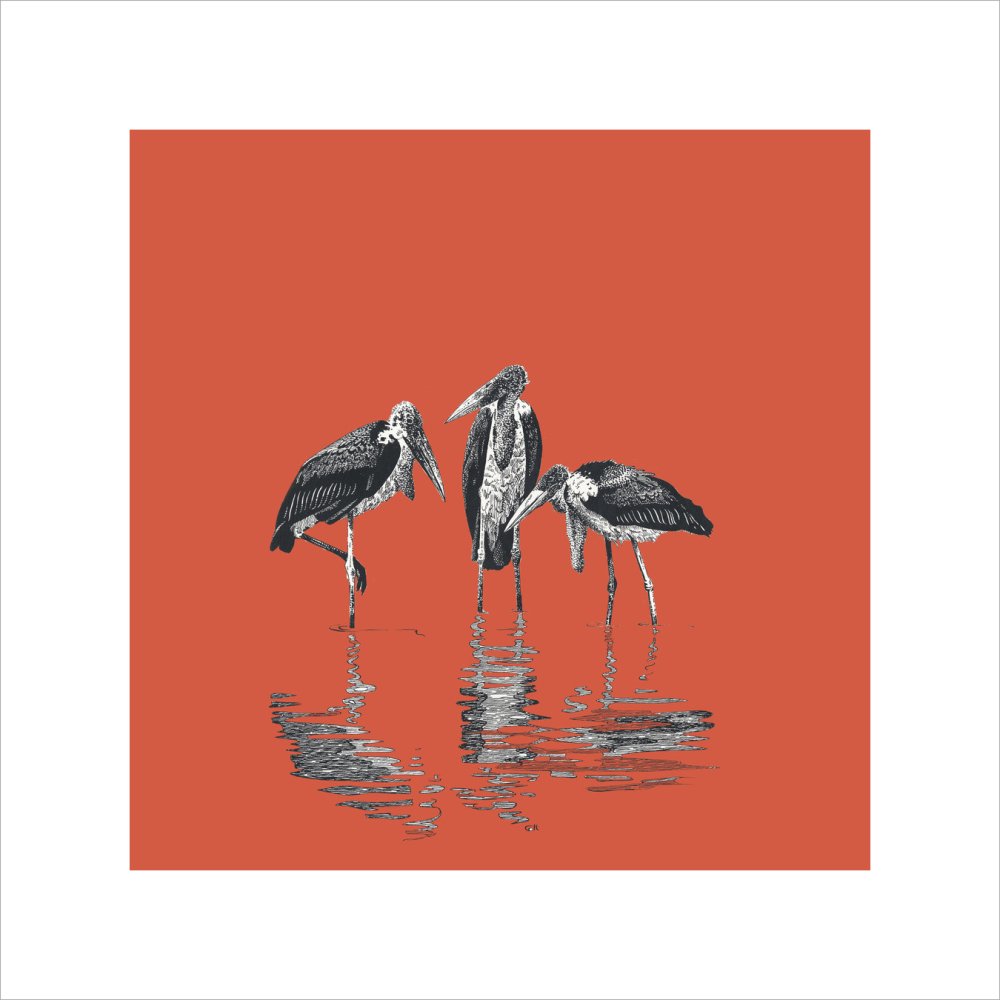 Marabou Storks - art print