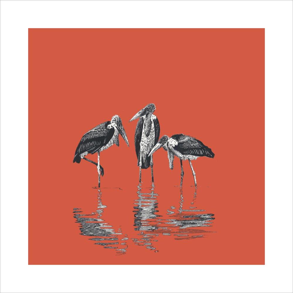 Marabou Storks - art print