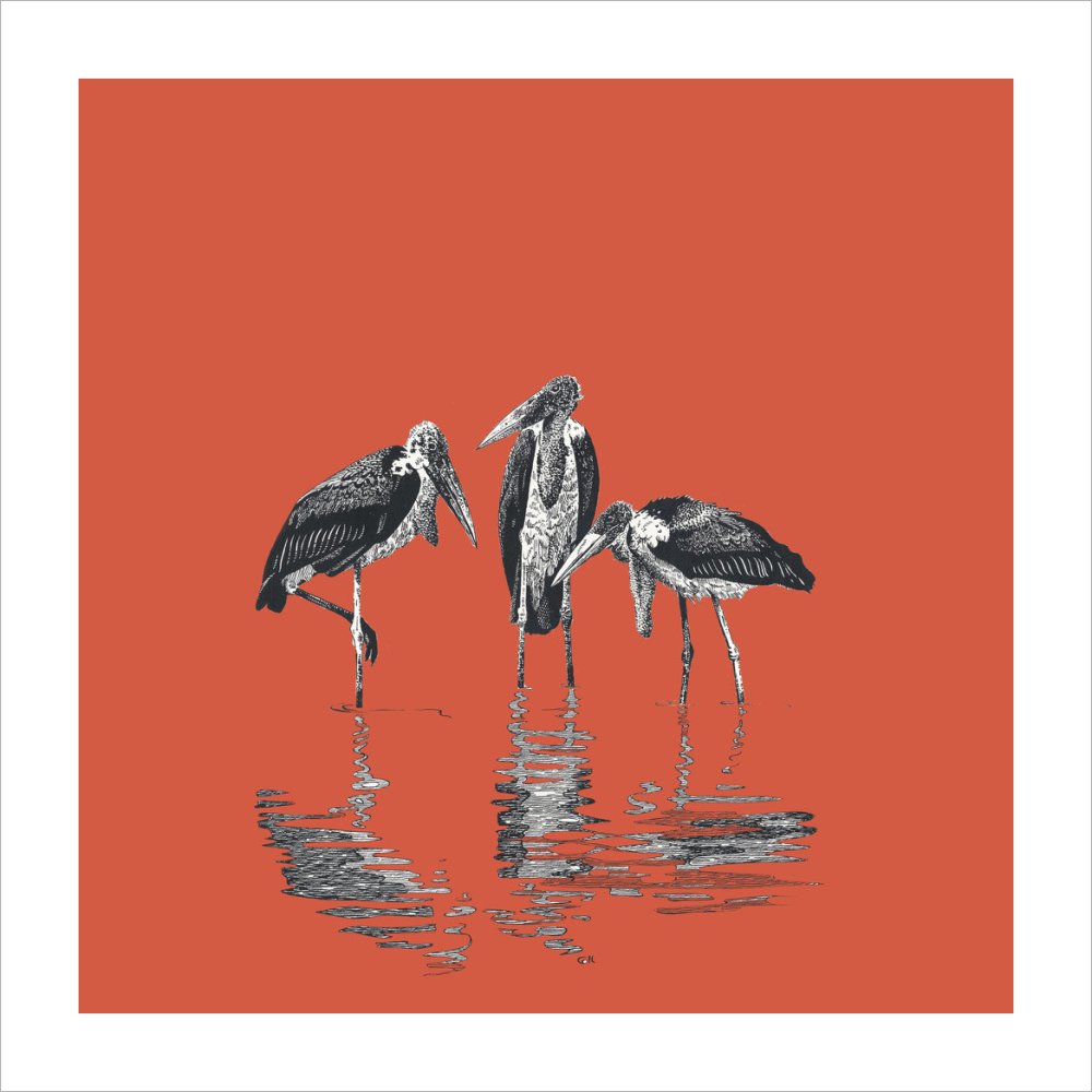 Marabou Storks - art print