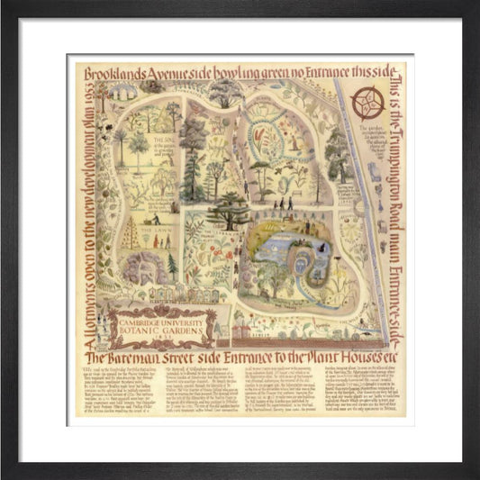 Map of Cambridge University Botanic Garden - Art print