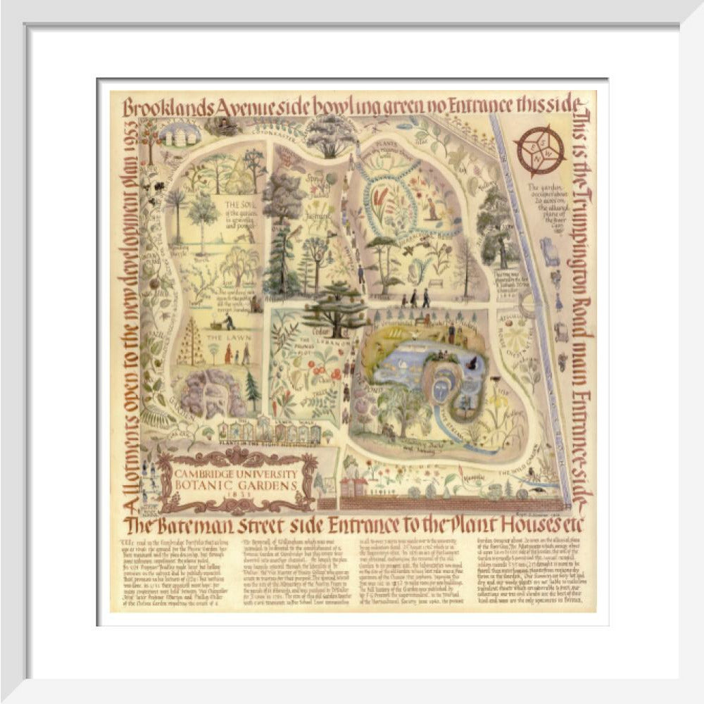 Map of Cambridge University Botanic Garden - Art print