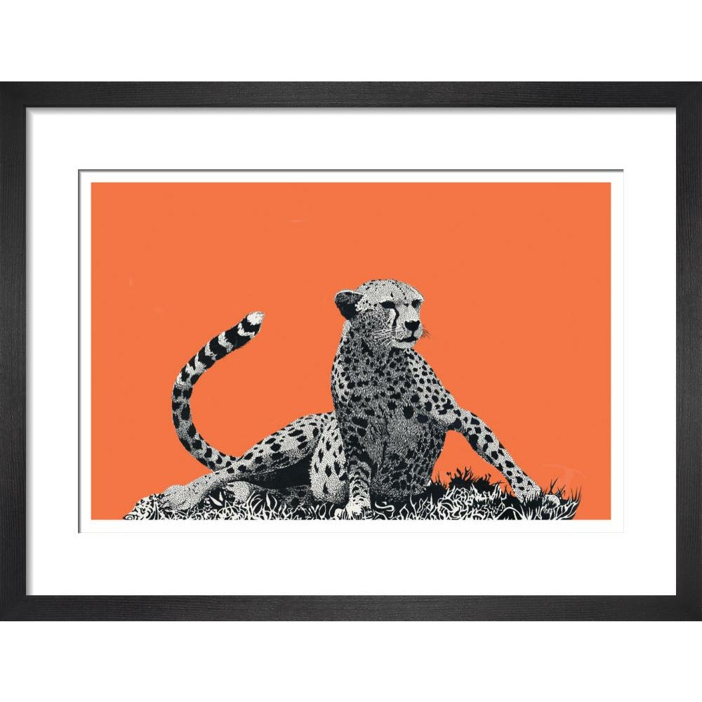 Cheetah Rising, on Coral - Art Print