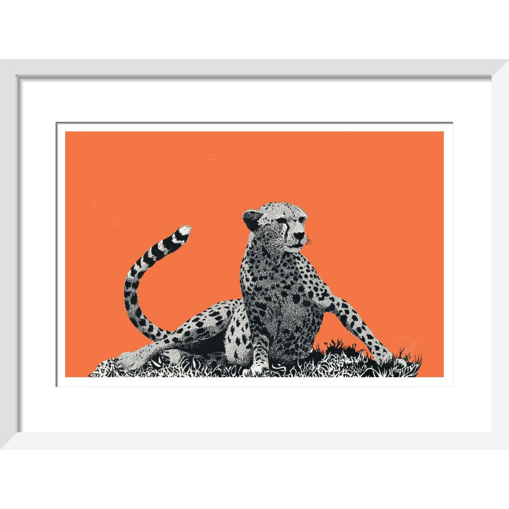 Cheetah Rising, on Coral - Art Print
