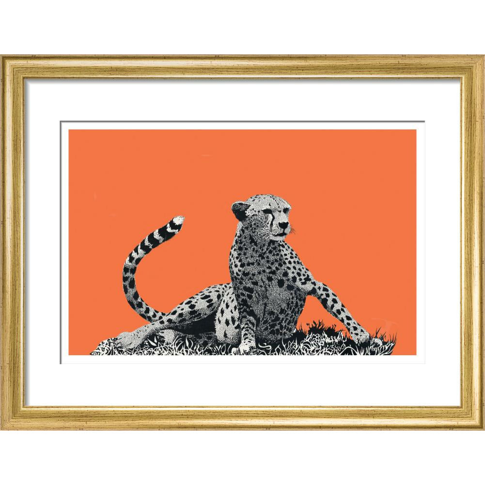 Cheetah Rising, on Coral - Art Print