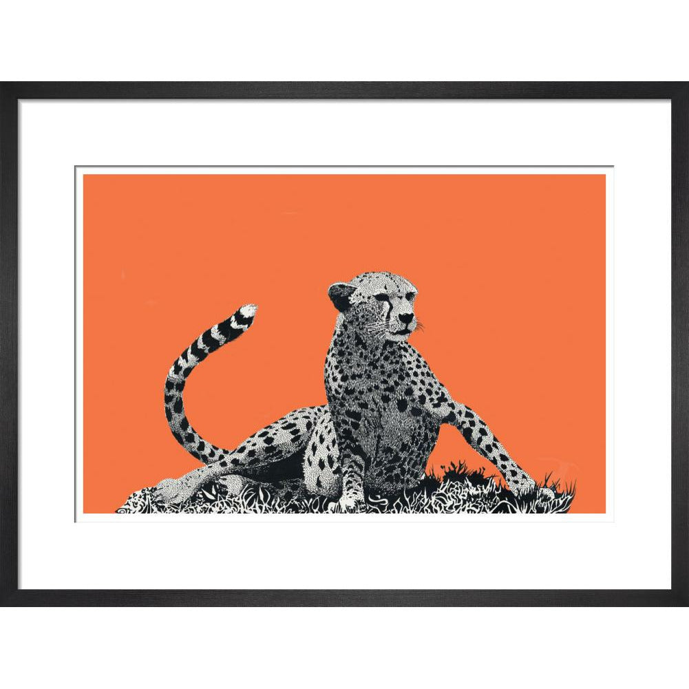 Cheetah Rising, on Coral - Art Print