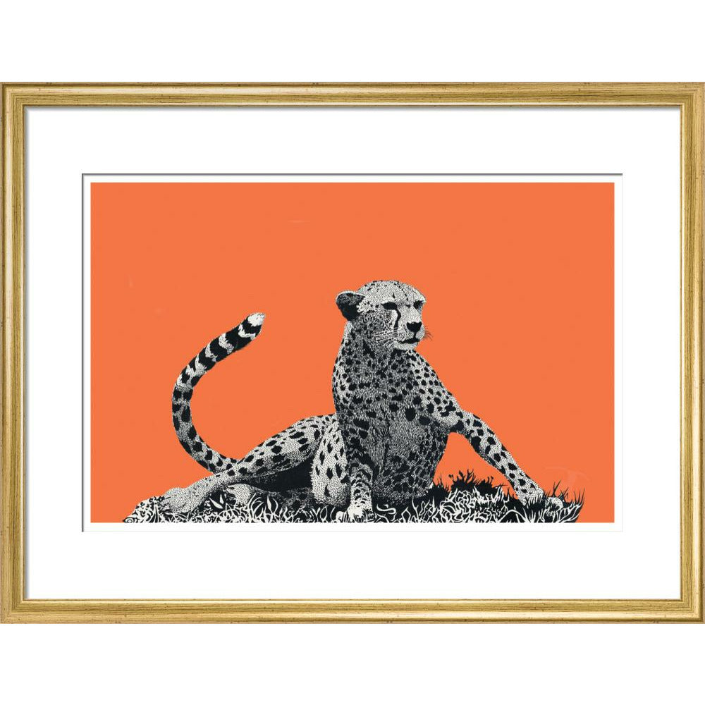 Cheetah Rising, on Coral - Art Print