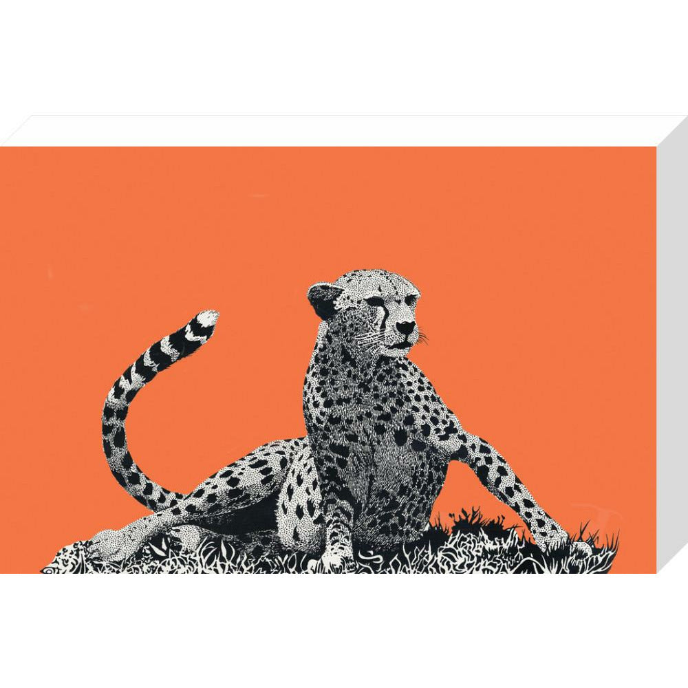 Cheetah Rising, on Coral - Art Print