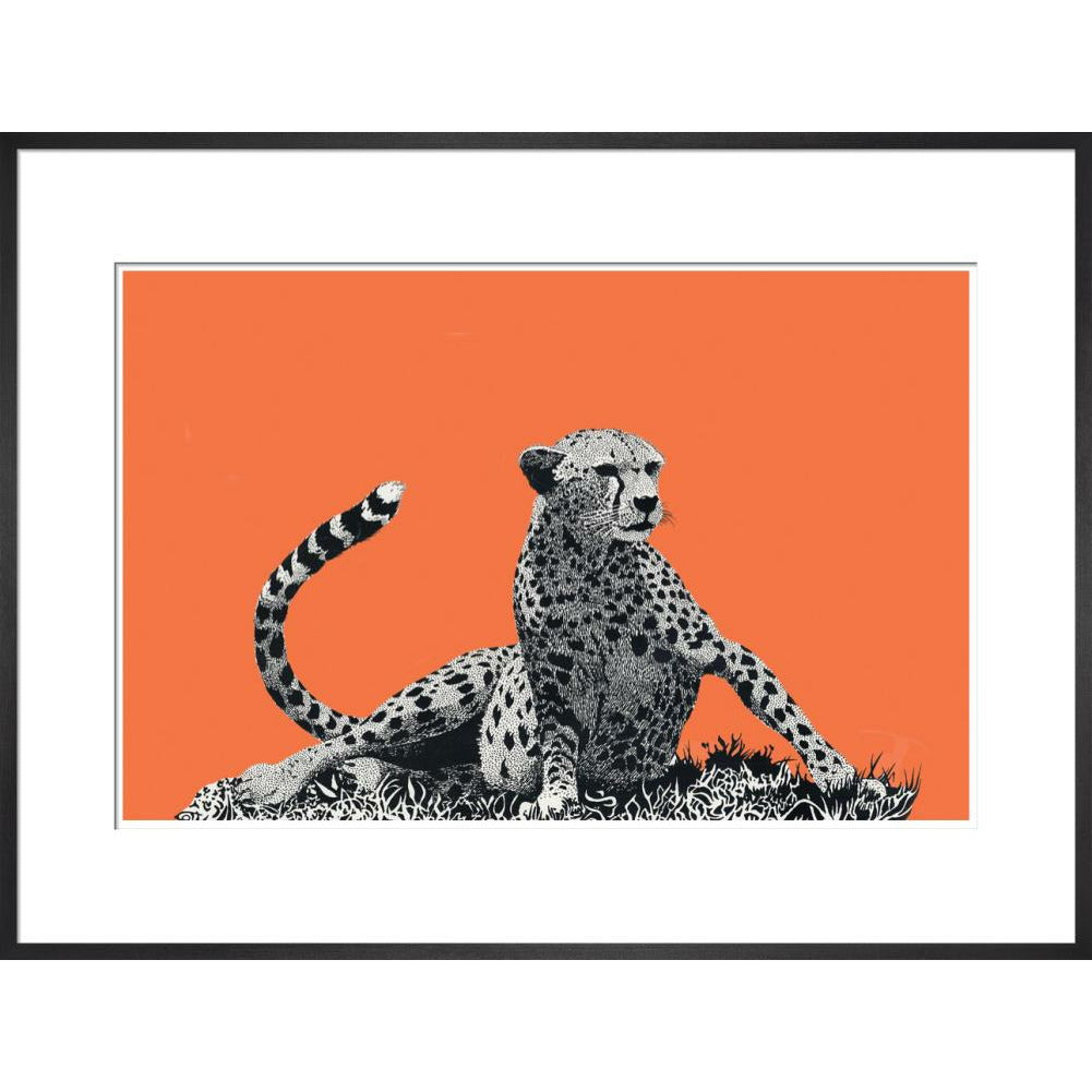 Cheetah Rising, on Coral - Art Print