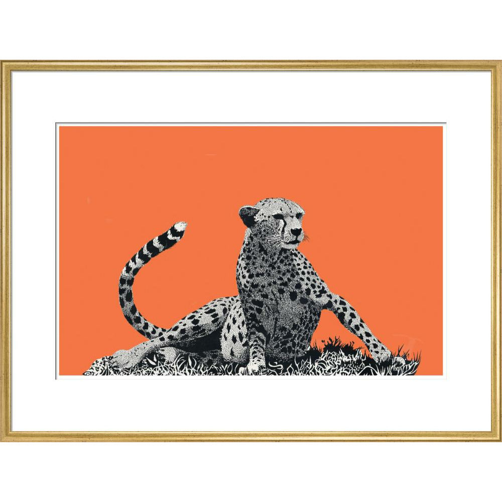 Cheetah Rising, on Coral - Art Print