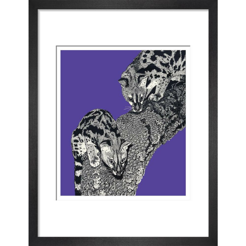 Large Spotted Genet on Purple - Art print