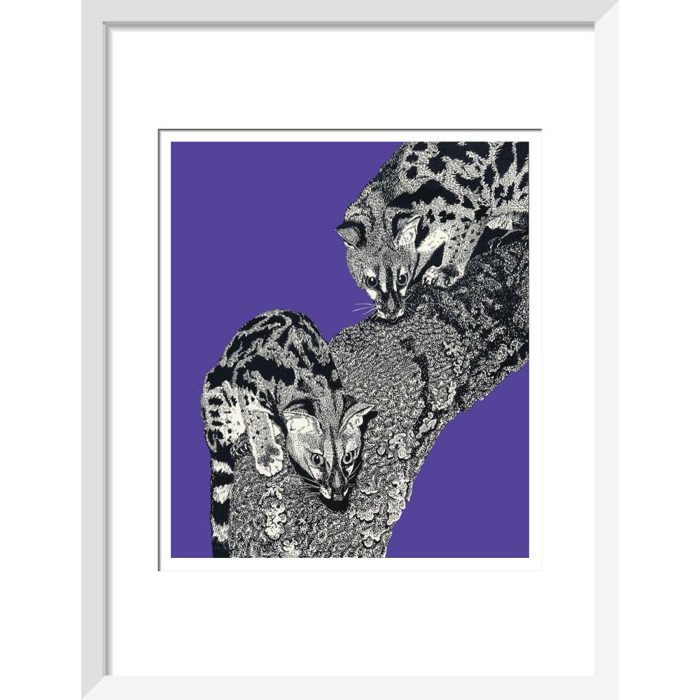Large Spotted Genet on Purple - Art print