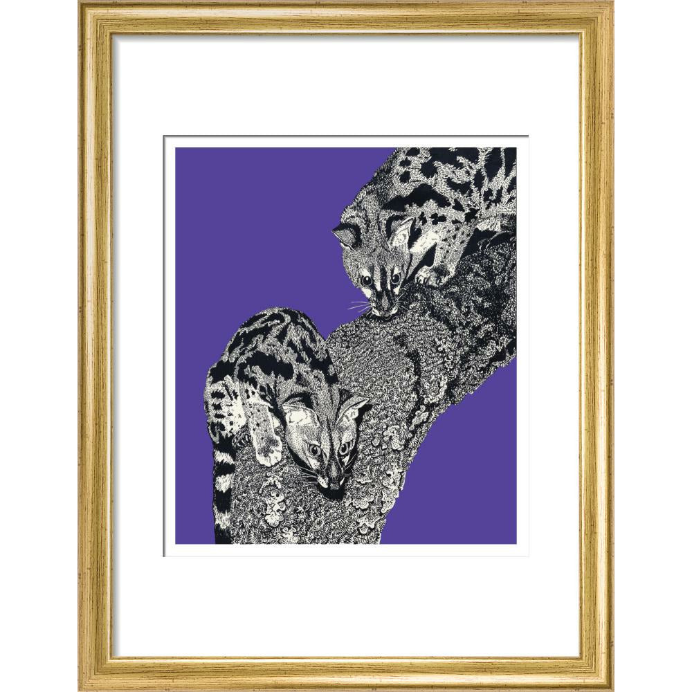 Large Spotted Genet on Purple - Art print