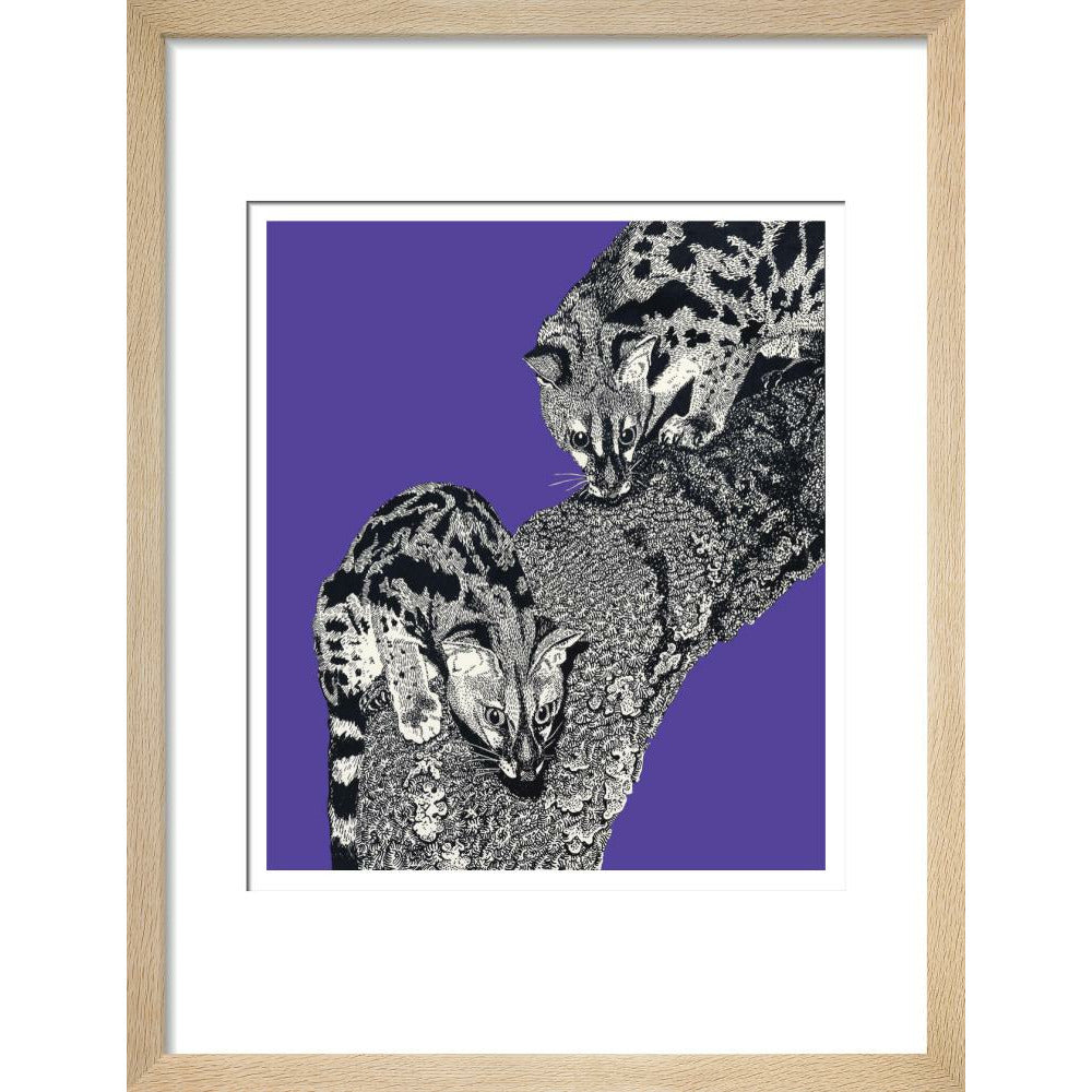 Large Spotted Genet on Purple - Art print