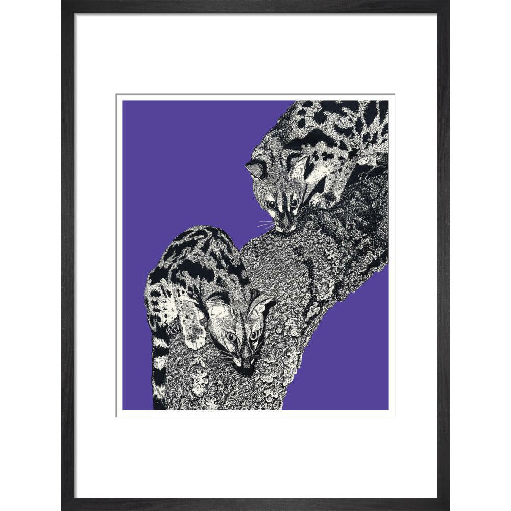 Large Spotted Genet on Purple - Art print