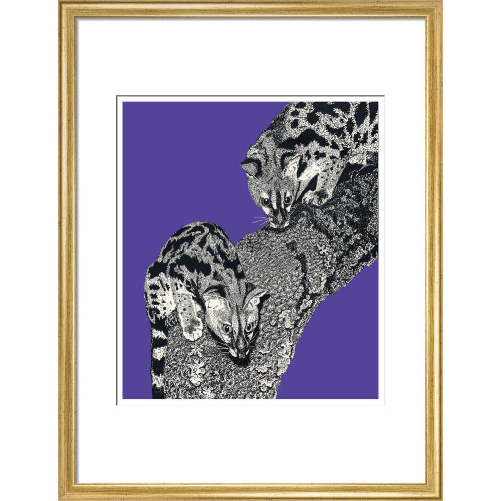 Large Spotted Genet on Purple - Art print