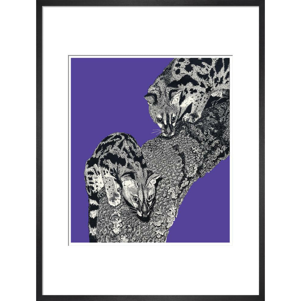 Large Spotted Genet on Purple - Art print