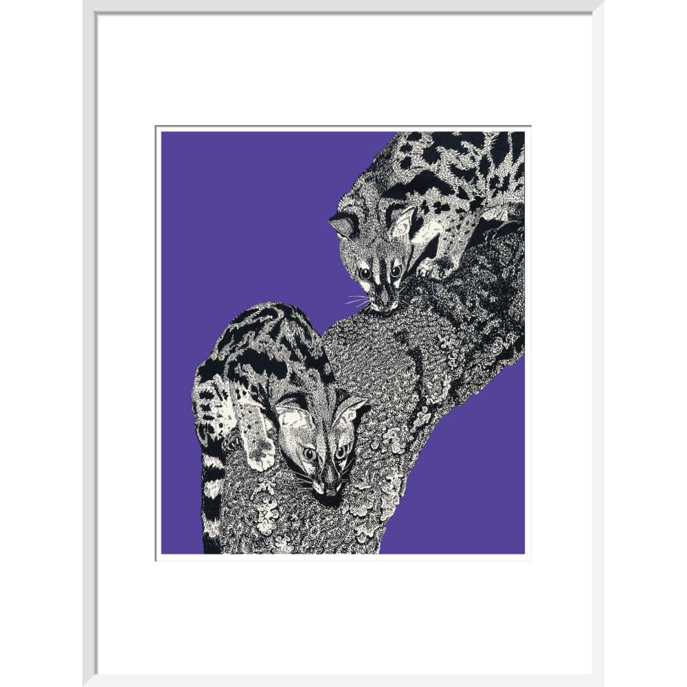 Large Spotted Genet on Purple - Art print