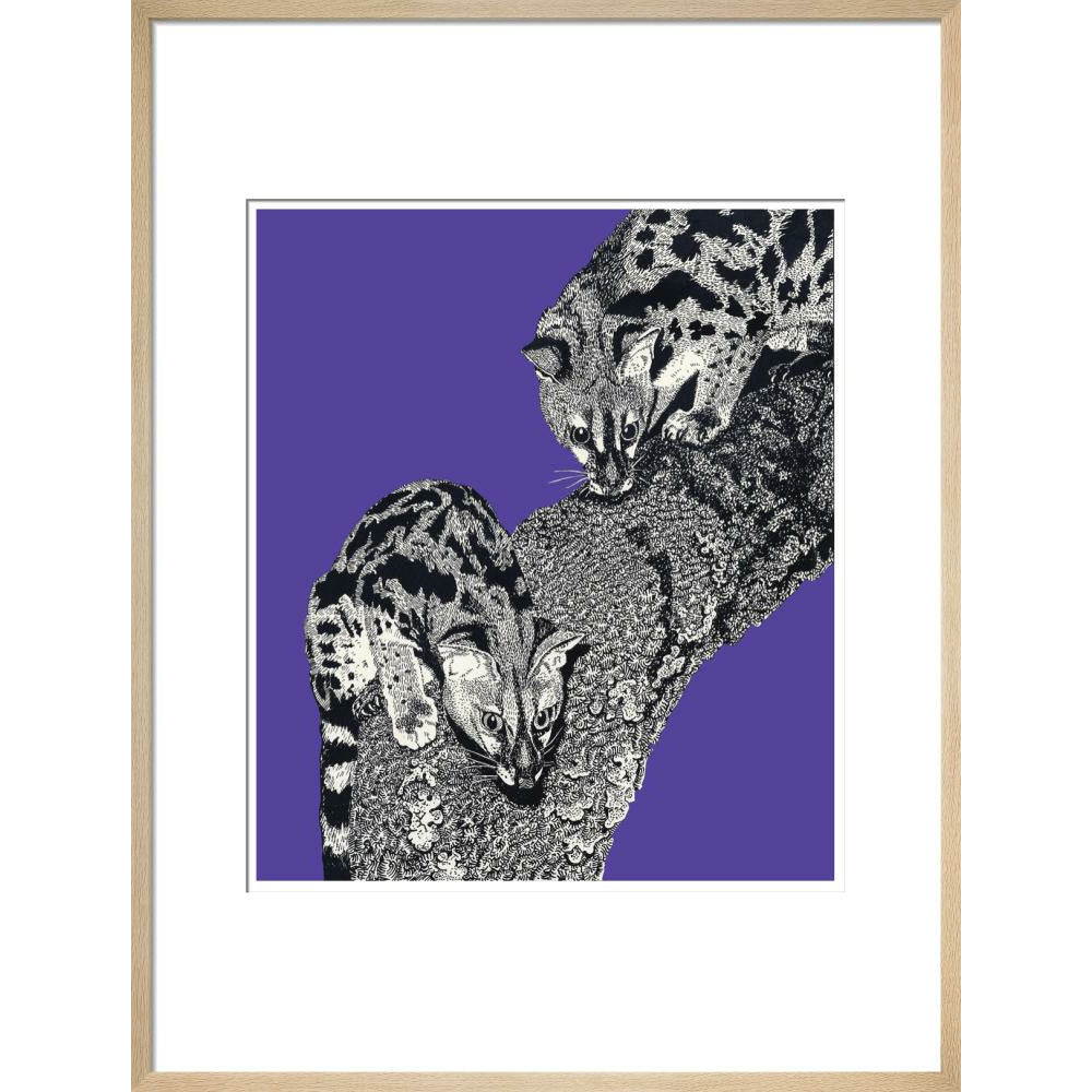 Large Spotted Genet on Purple - Art print