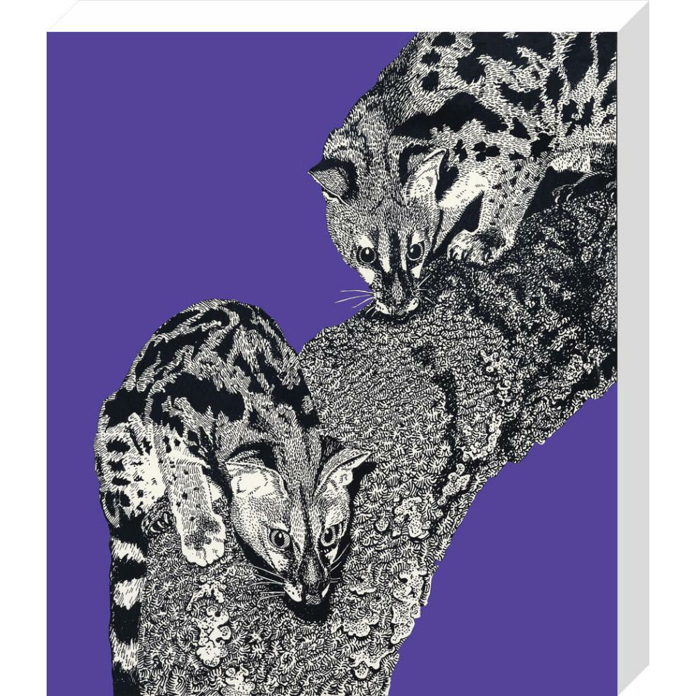 Large Spotted Genet on Purple - Art print