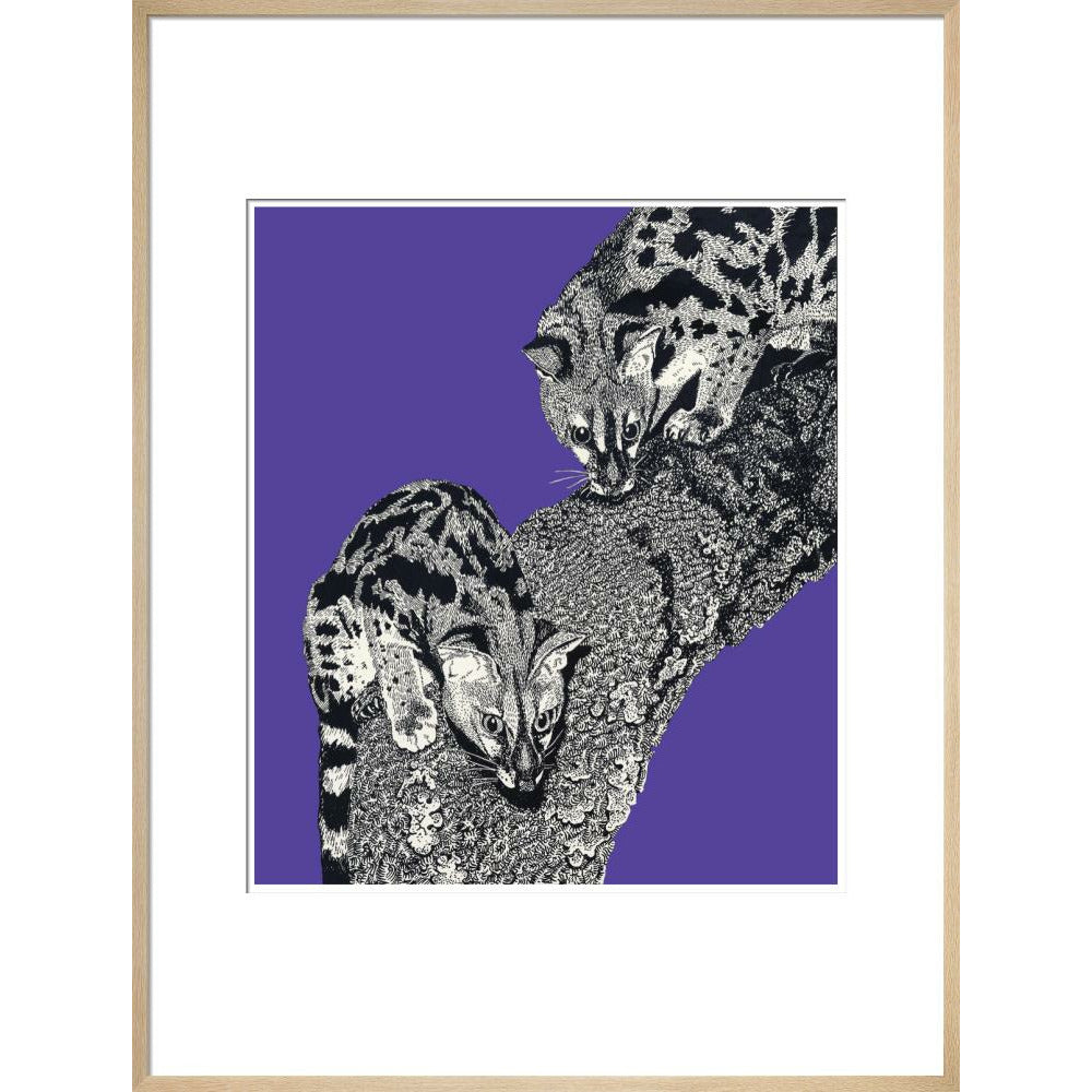 Large Spotted Genet on Purple - Art print