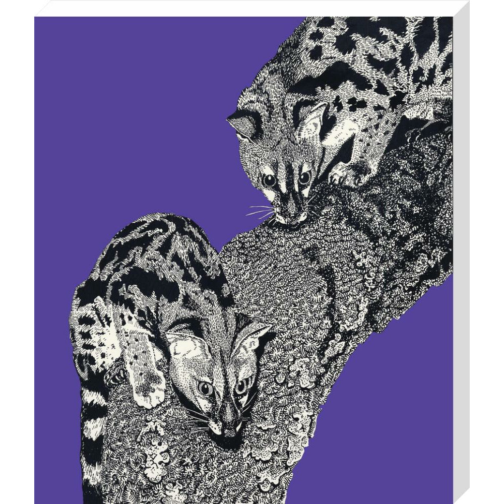 Large Spotted Genet on Purple - Art print