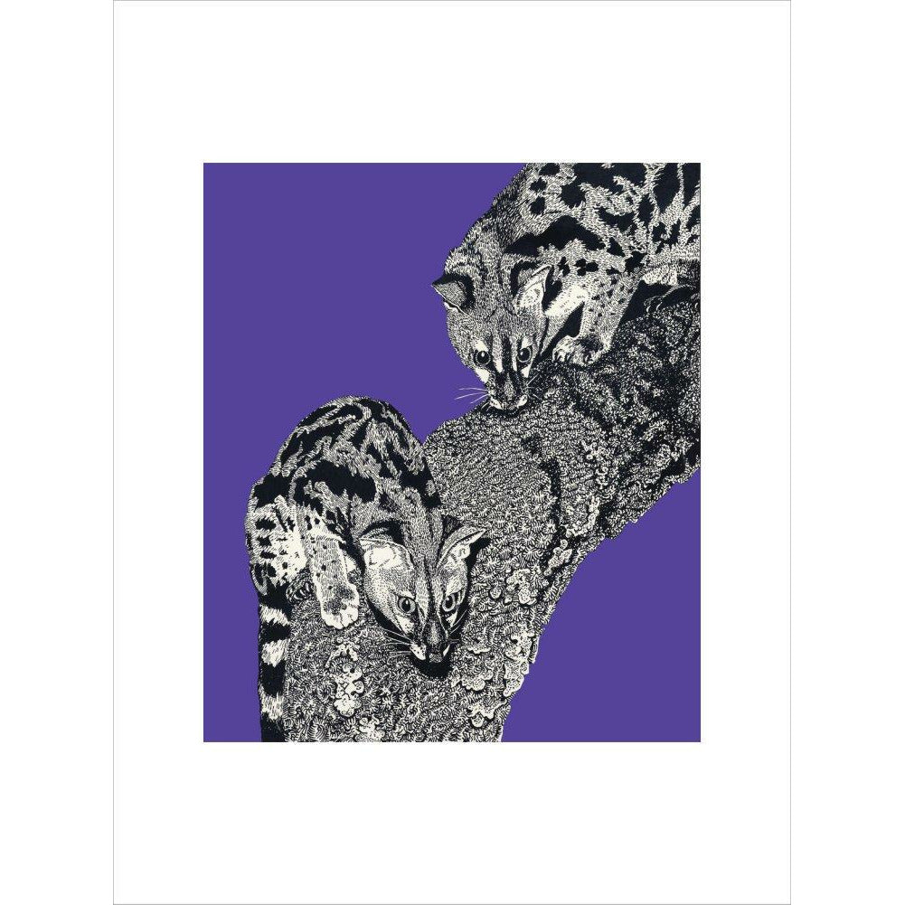 Large Spotted Genet on Purple - Art print