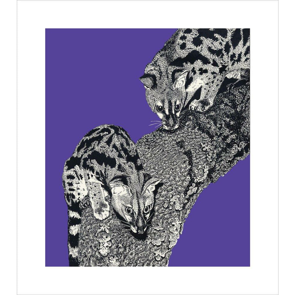 Large Spotted Genet on Purple - Art print
