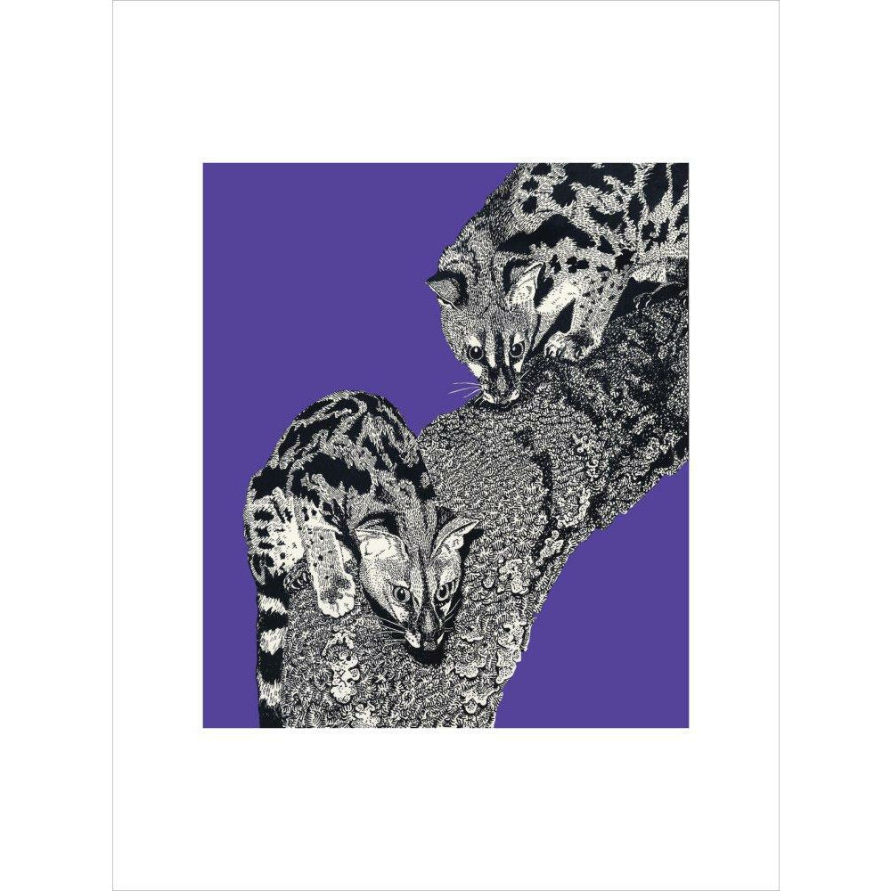 Large Spotted Genet on Purple - Art print
