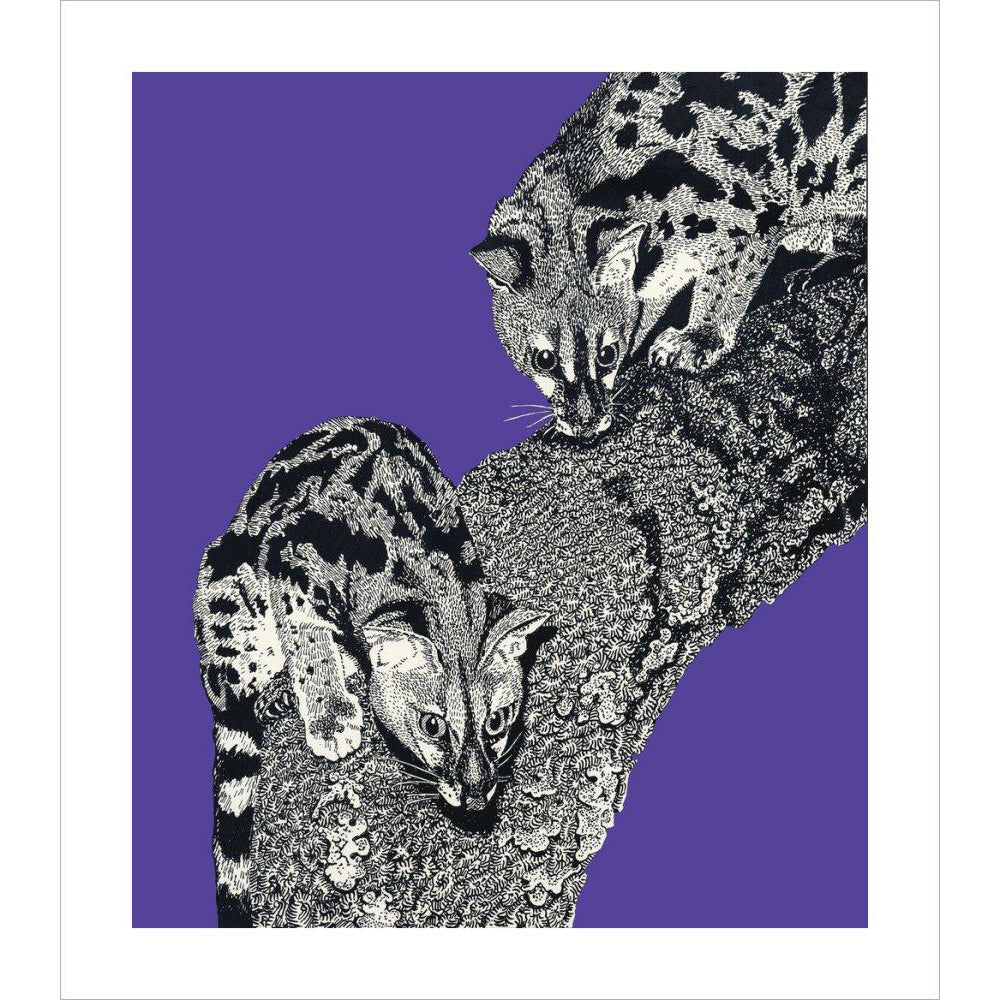 Large Spotted Genet on Purple - Art print