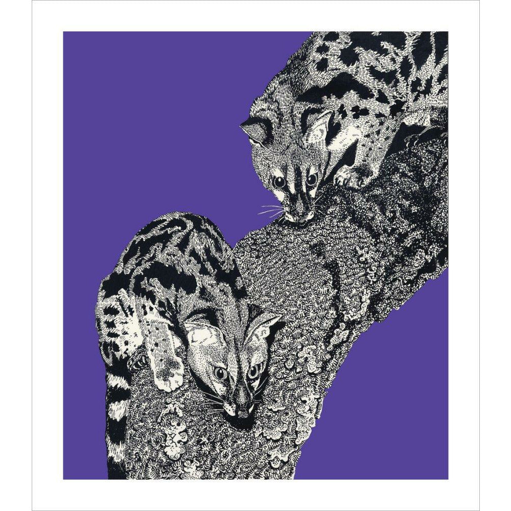 Large Spotted Genet on Purple - Art print