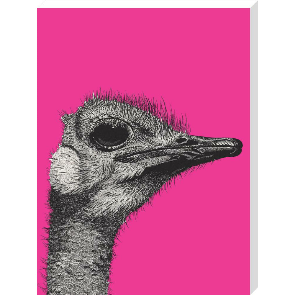 Ostrich on Pink - Art print