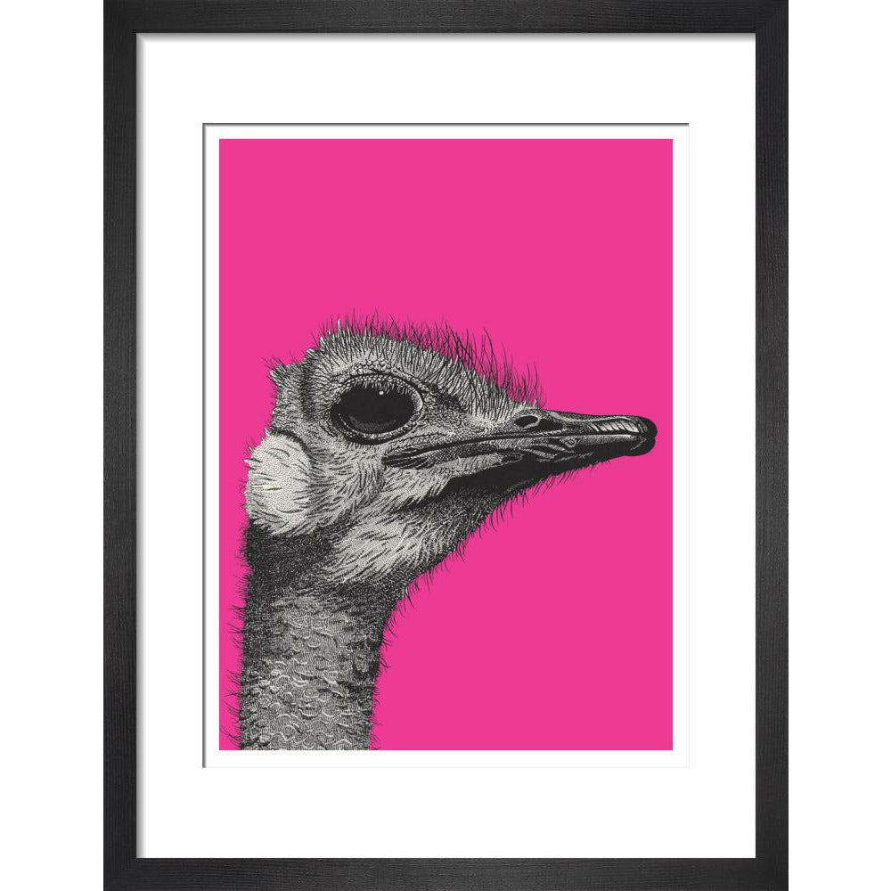 Ostrich on Pink - Art print