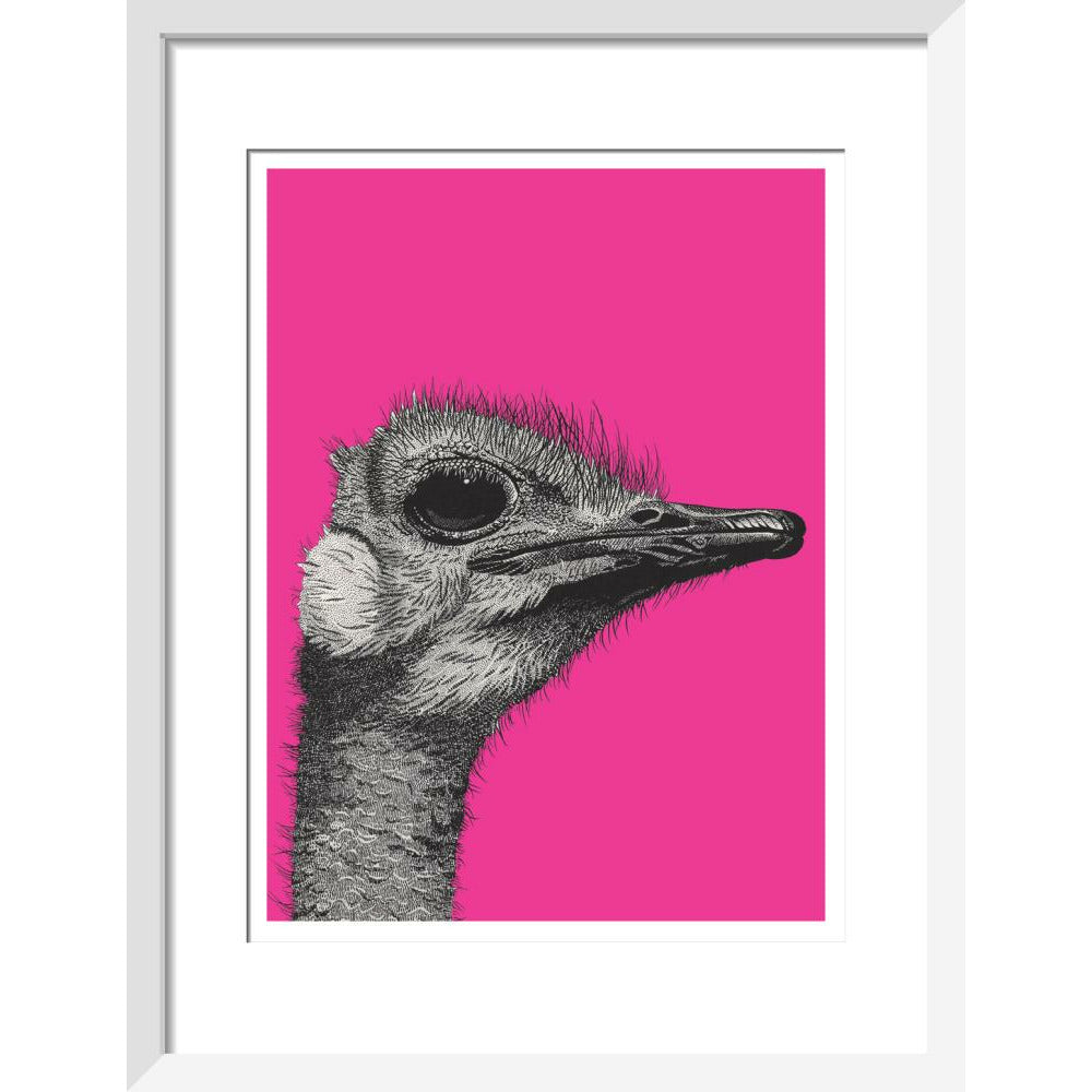 Ostrich on Pink - Art print