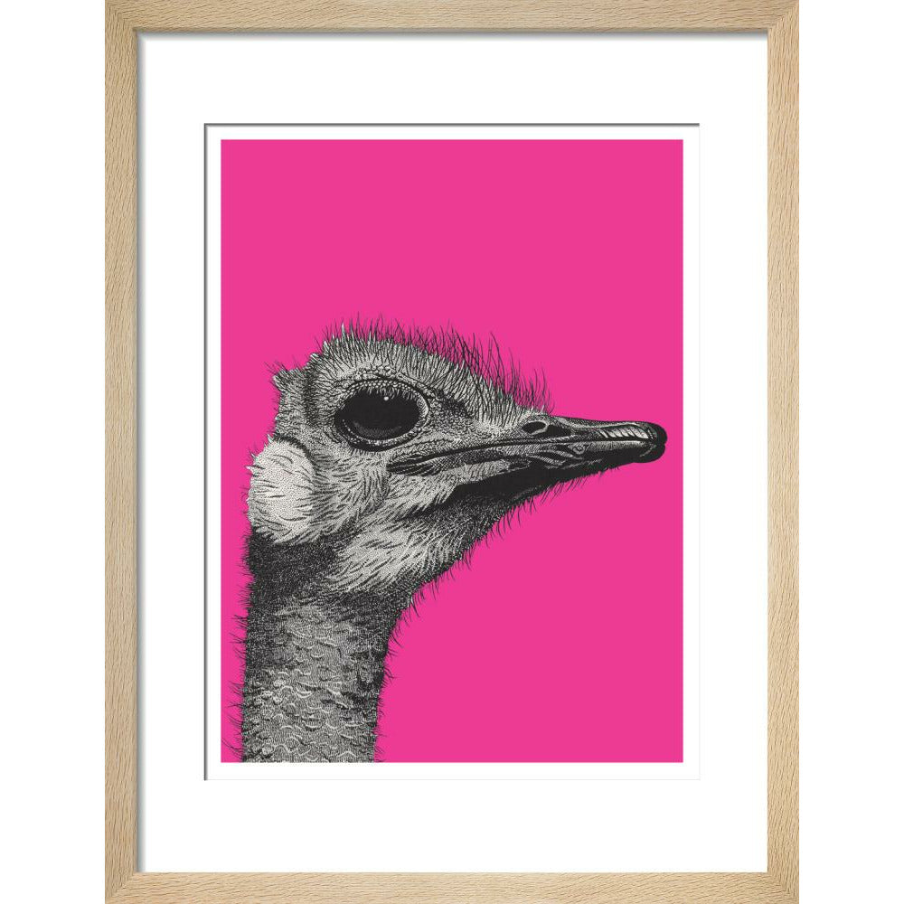 Ostrich on Pink - Art print