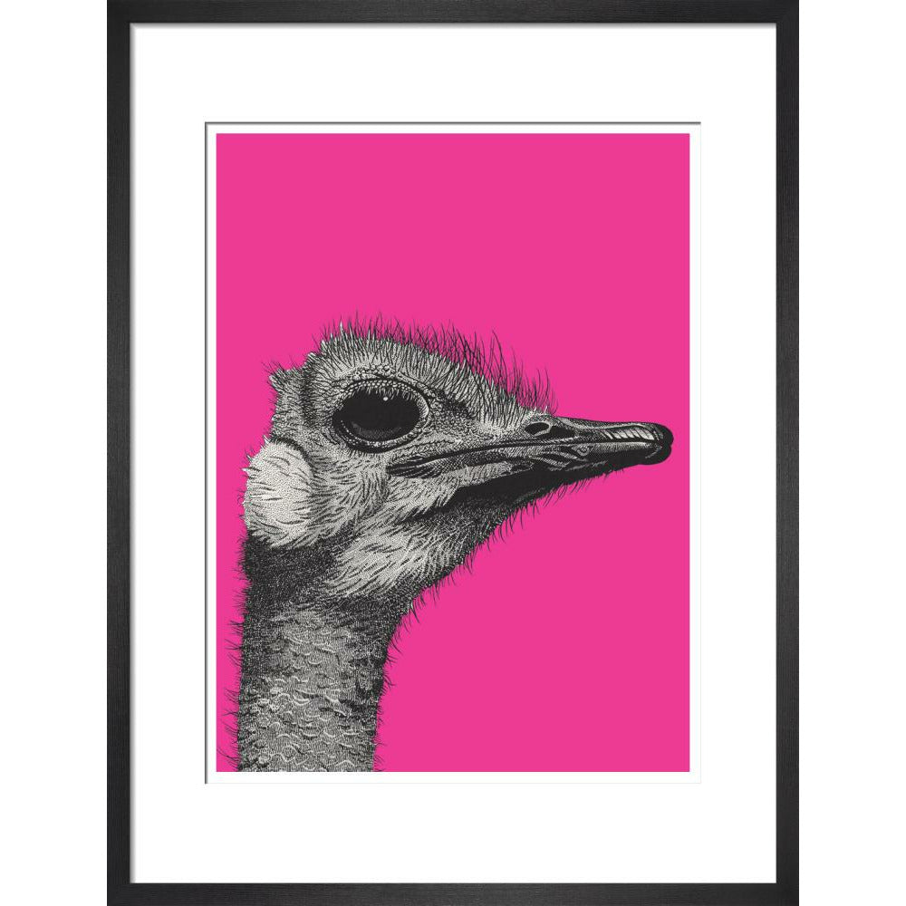Ostrich on Pink - Art print