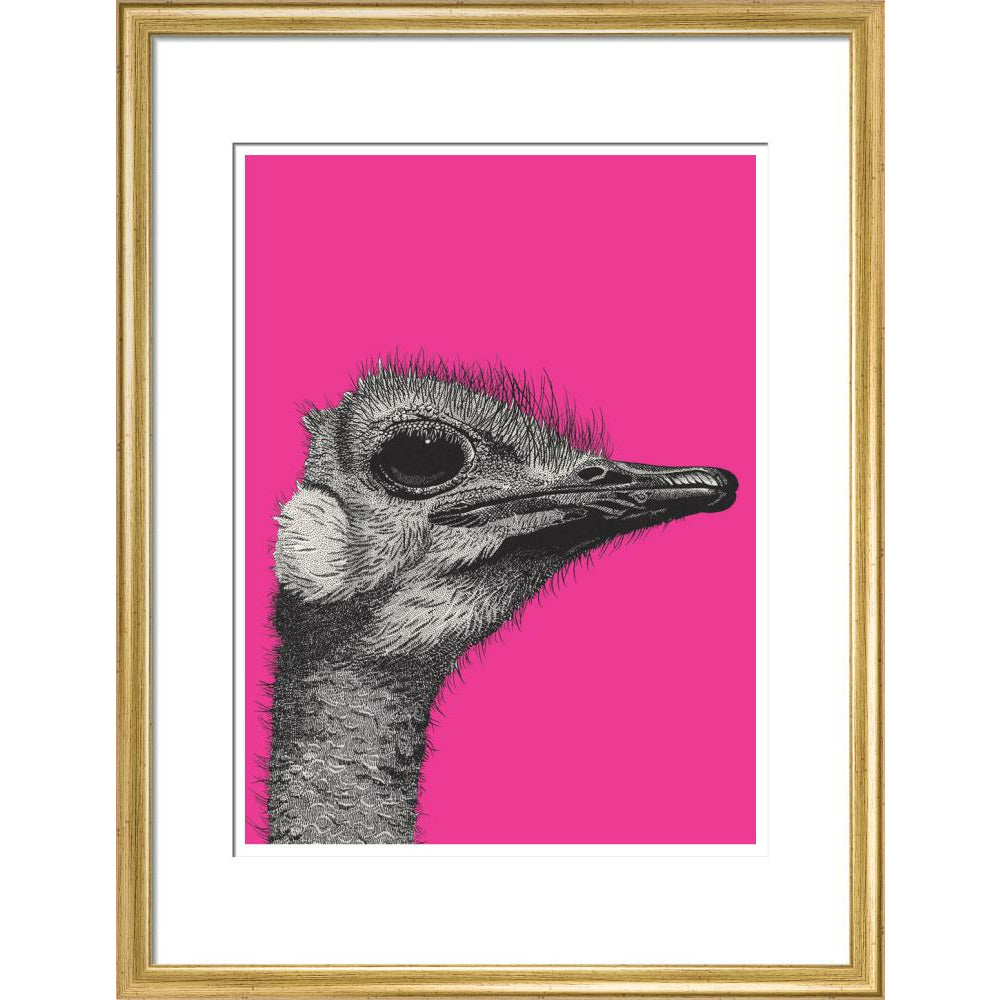 Ostrich on Pink - Art print