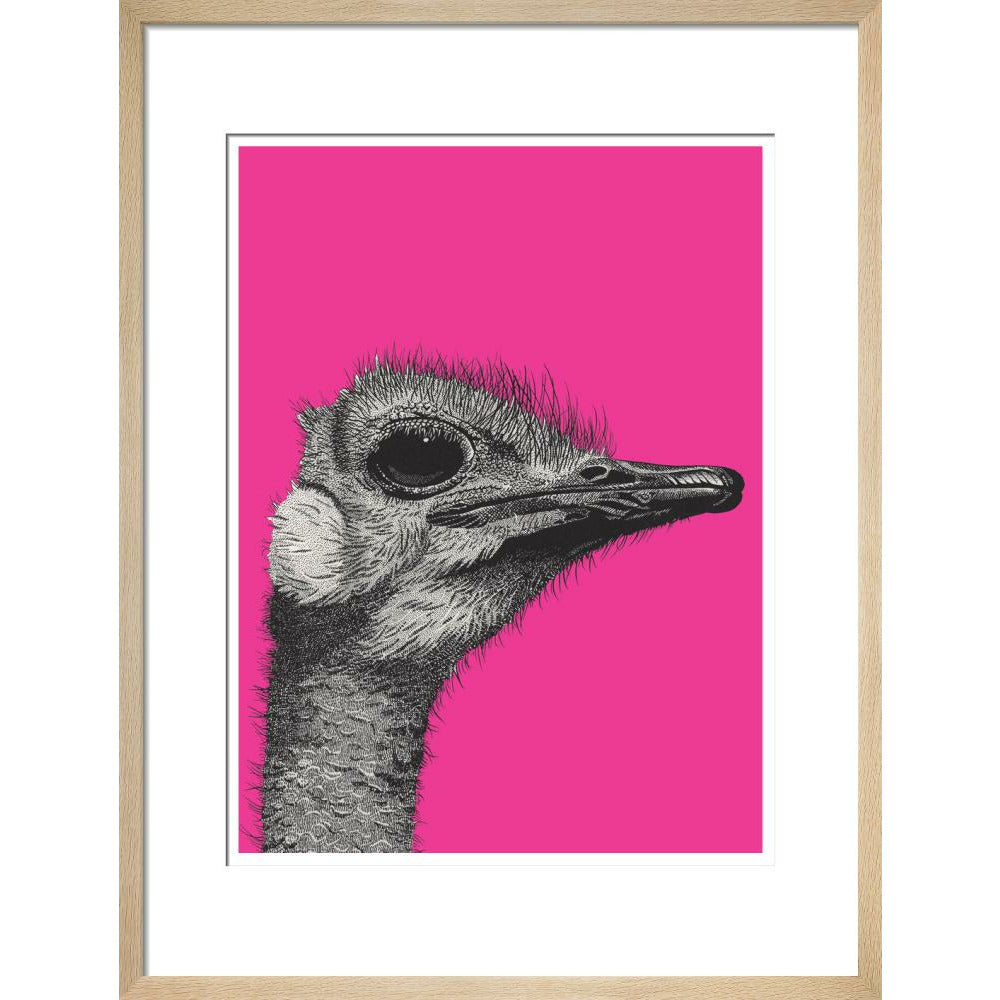 Ostrich on Pink - Art print