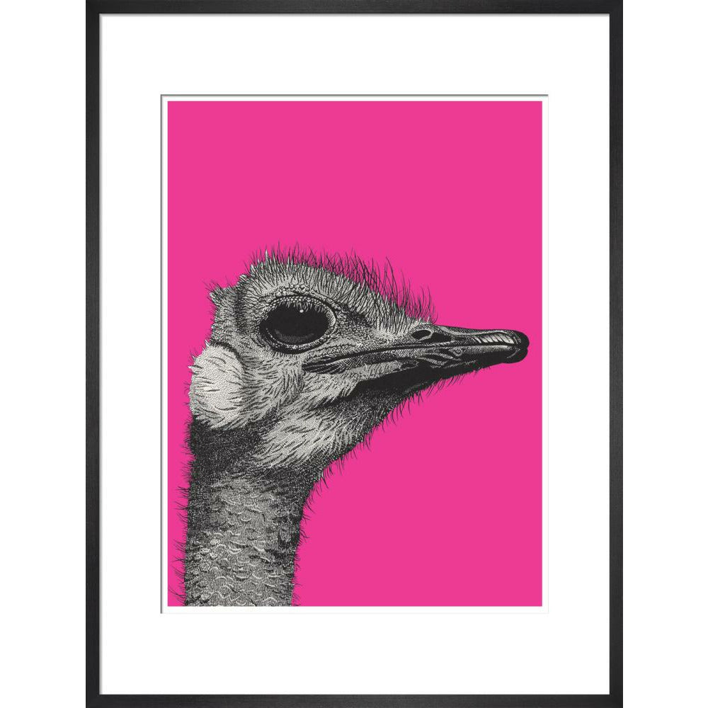 Ostrich on Pink - Art print
