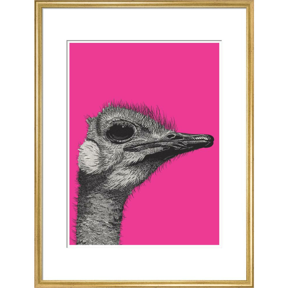 Ostrich on Pink - Art print
