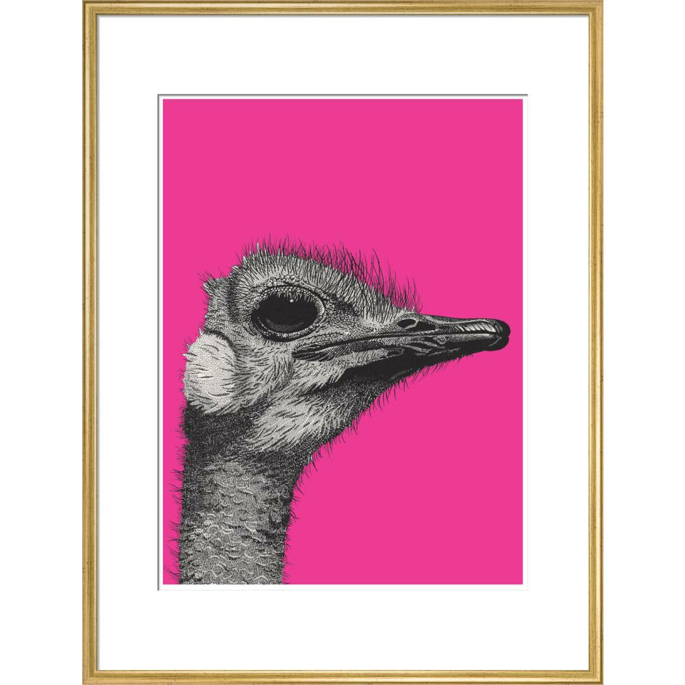 Ostrich on Pink - Art print