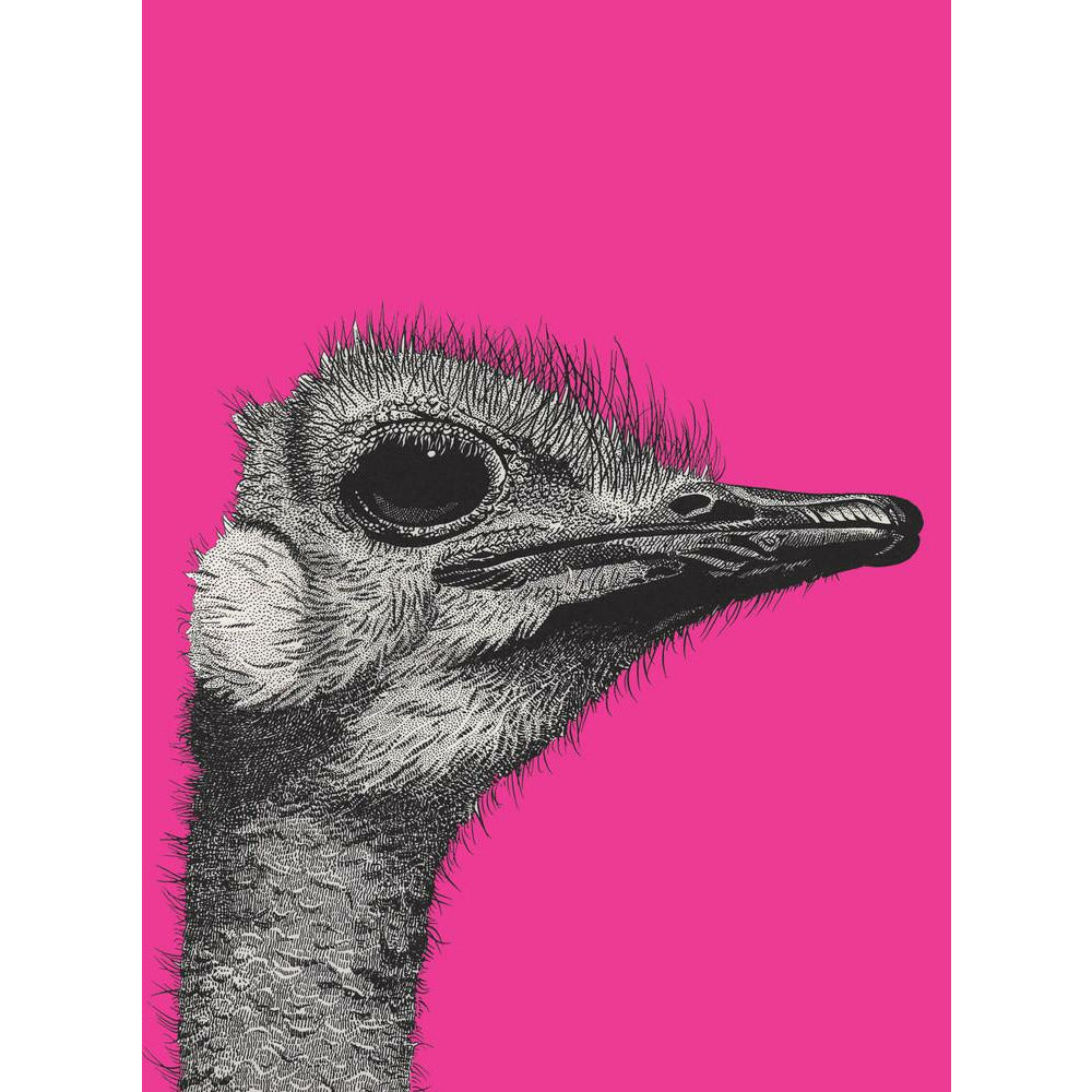 Ostrich on Pink - Art print