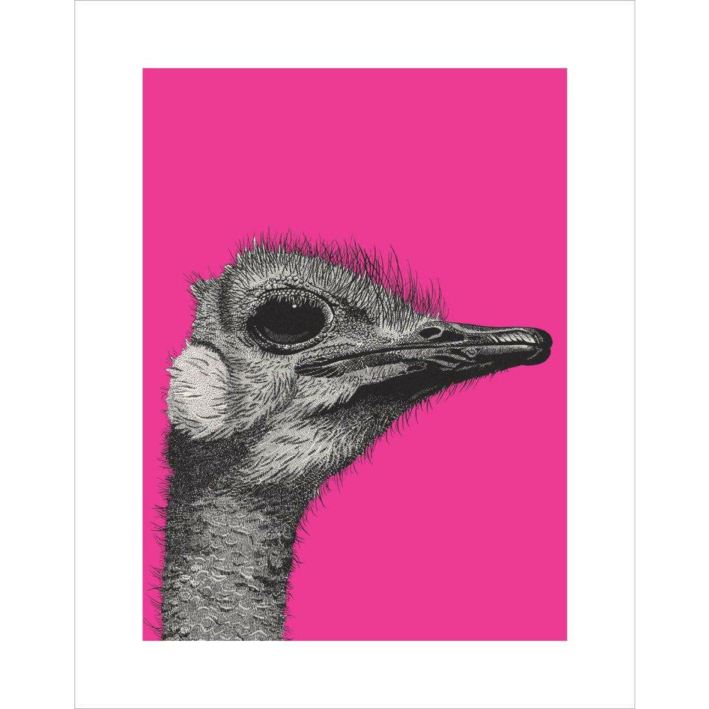 Ostrich on Pink - Art print