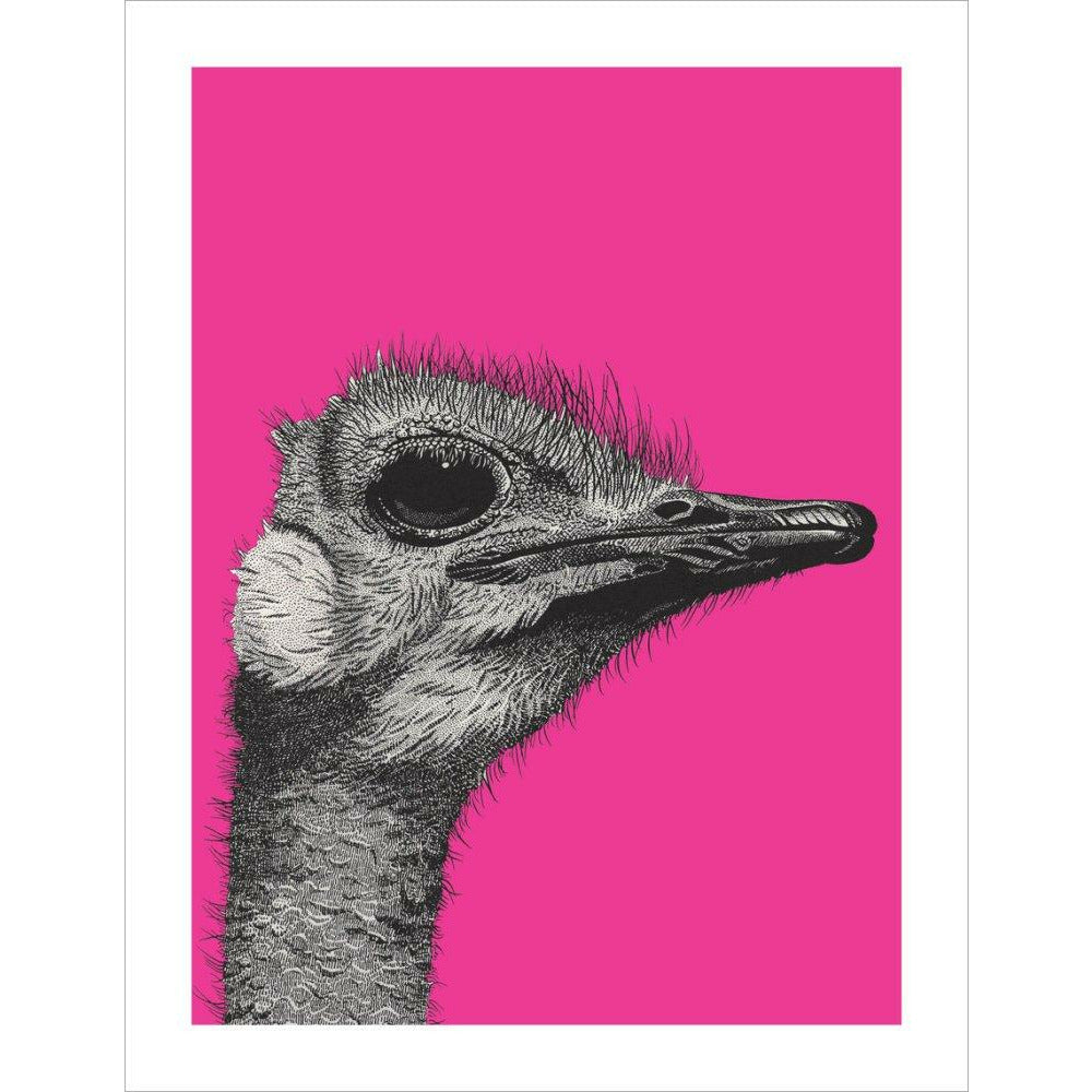 Ostrich on Pink - Art print