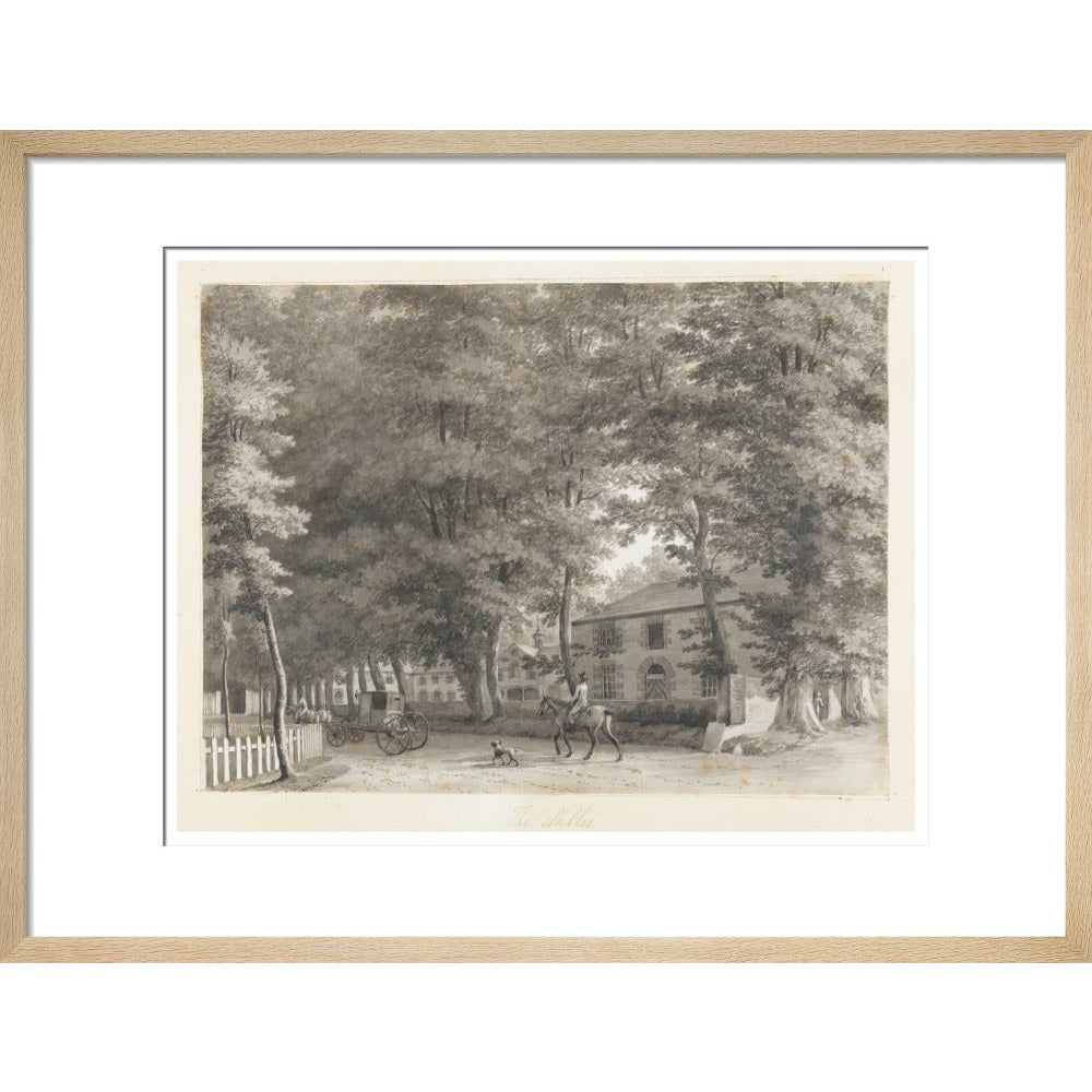 Mount Merrion: The Stables - Art print