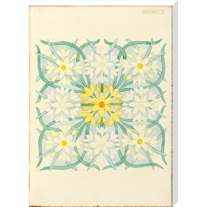 Narcissus - Art print