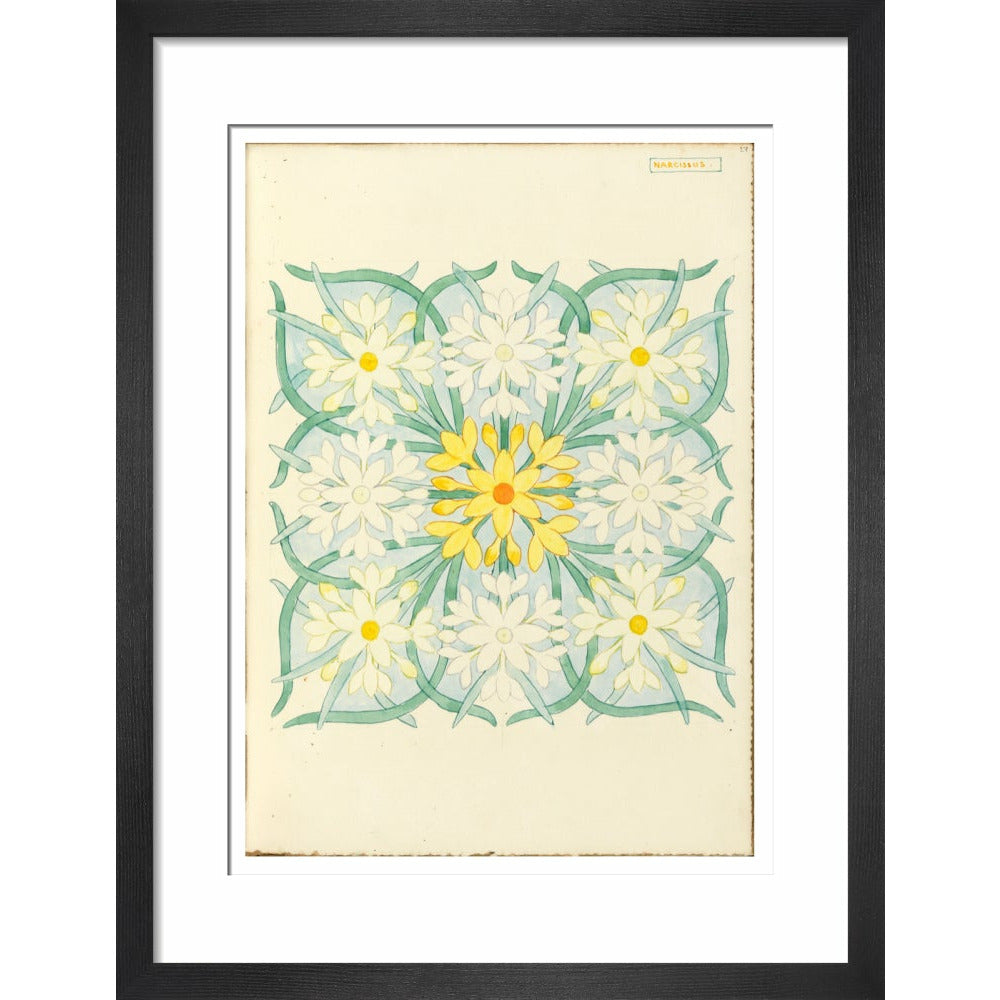 Narcissus - Art print